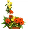 Heart Touching Beauty (ODD3) - Click here to View more details about this Product